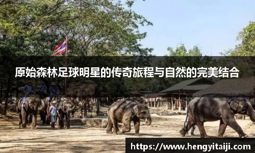 竞技宝官网